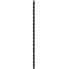TrendLine Wandschiene 1-reihig schwarz 100 x 2,5 cm