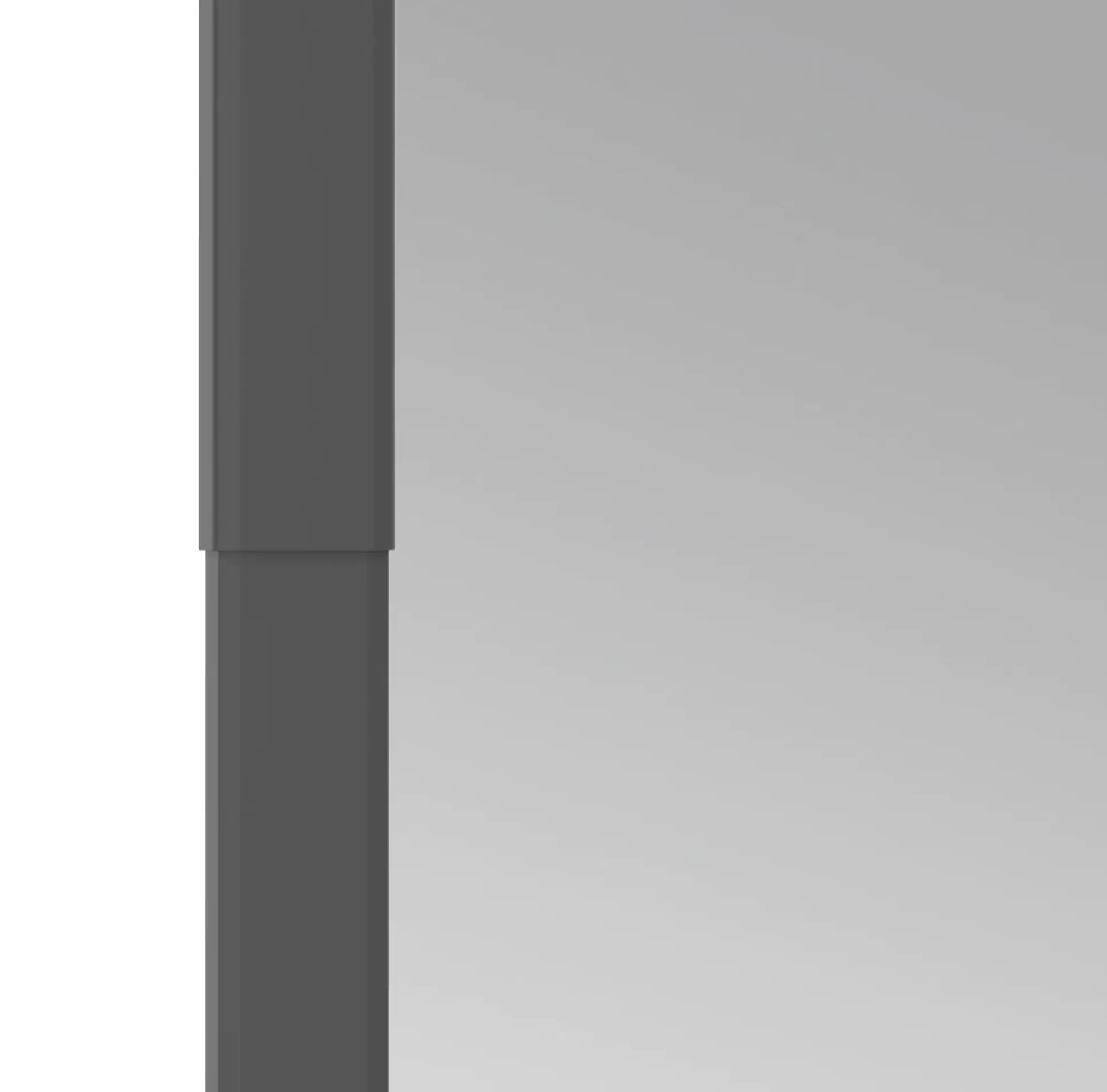 Windhager IS Plus Teleskoptür 100 x 210cm schwarz/anthrazit